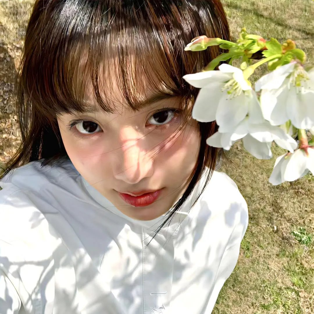 美丽的时节